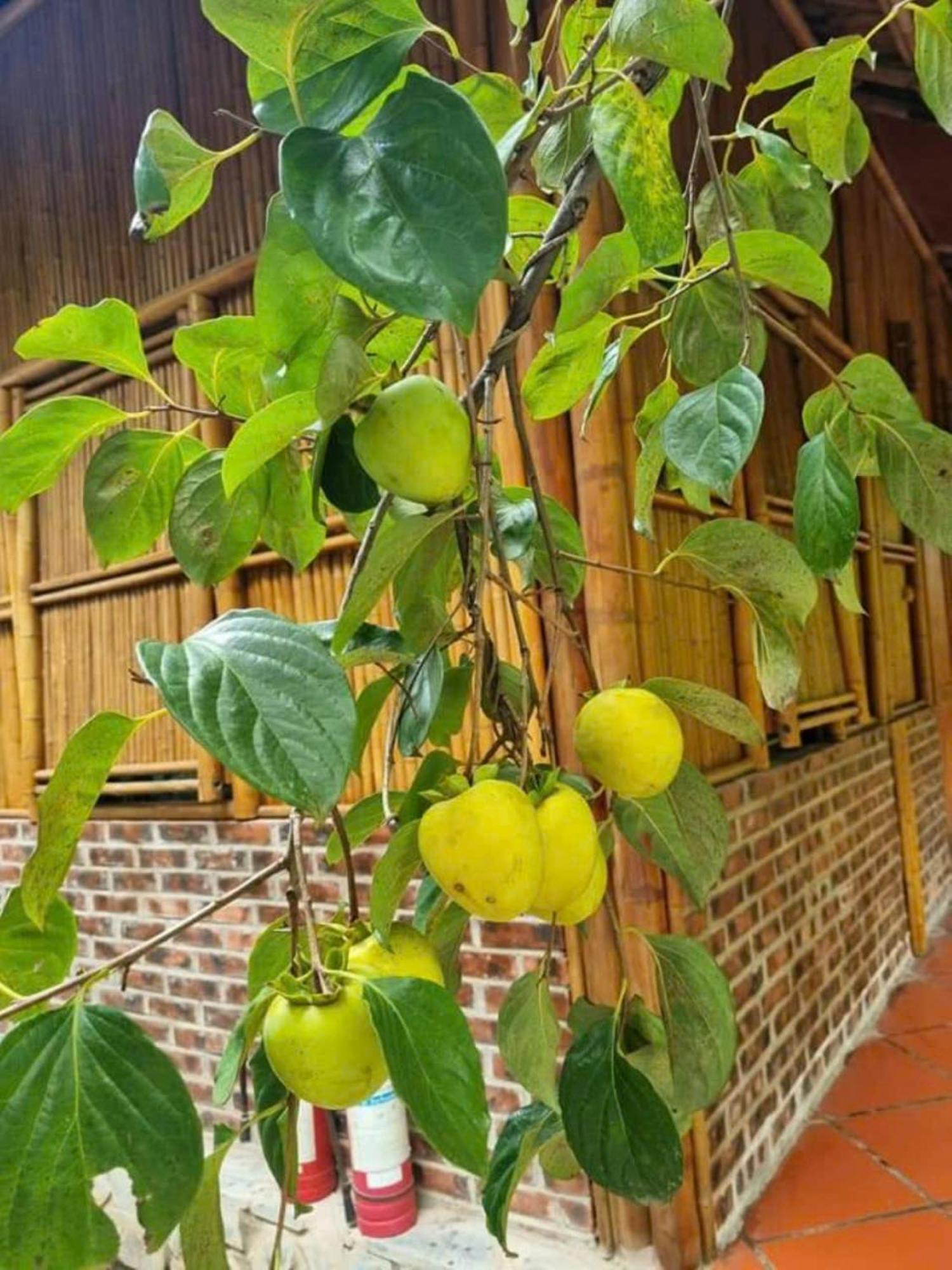 宁平 豪鲁背包客旅舍旅舍 外观 照片