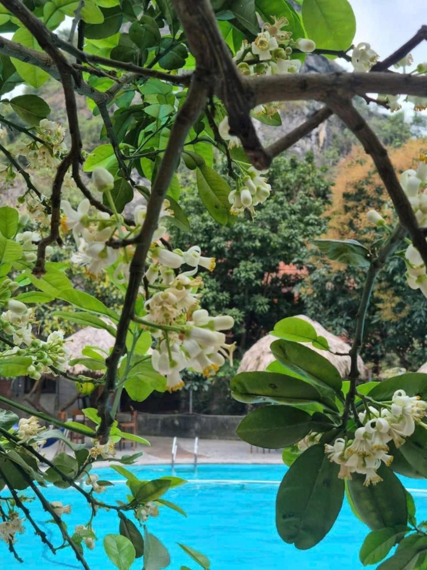 宁平 豪鲁背包客旅舍旅舍 外观 照片